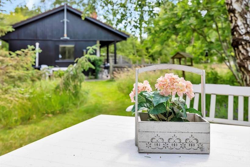 Foto von Ferienhaus LF87 in Nordstrand - Rørvig - Westseeland