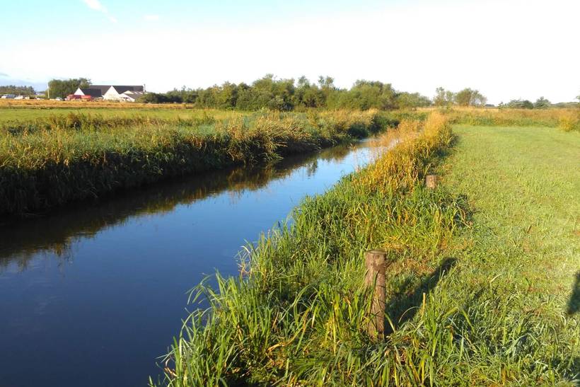 Foto von Ferienhaus LF95 in Ringkøbing - Westjütland