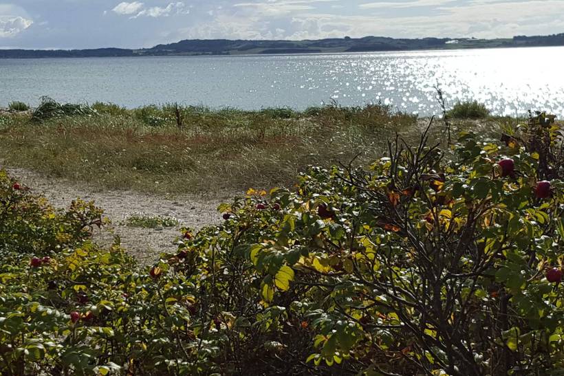 Foto von Ferienhaus LG18 in Lyngsbæk - Ebeltoft - Ostjütland