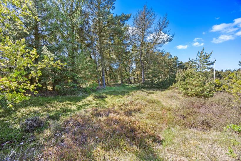 Foto von Ferienhaus LG31 in Kongsmark - Rømø