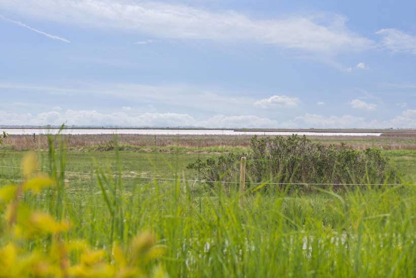 Foto von Ferienhaus LG34 auf Reersø - Westseeland