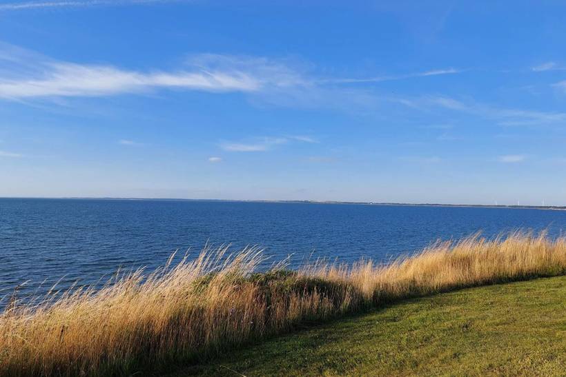 Foto von Ferienhaus LG86 in Handbjerg - Thy/Limfjord