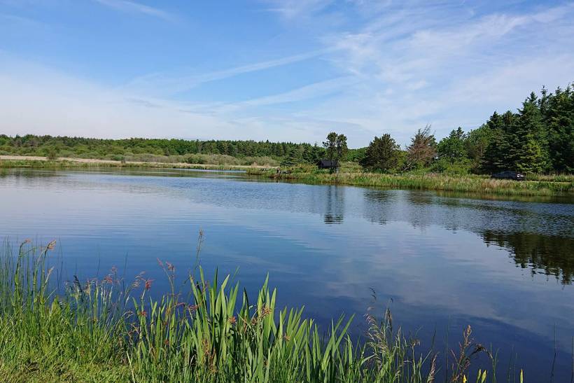 Foto von Ferienhaus LG86 in Handbjerg - Thy/Limfjord