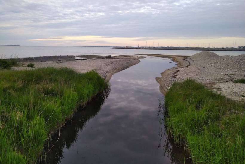 Foto von Ferienhaus LG86 in Handbjerg - Thy/Limfjord