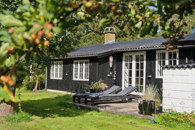 Foto von Ferienhaus LG88 in Rørvig - Westseeland