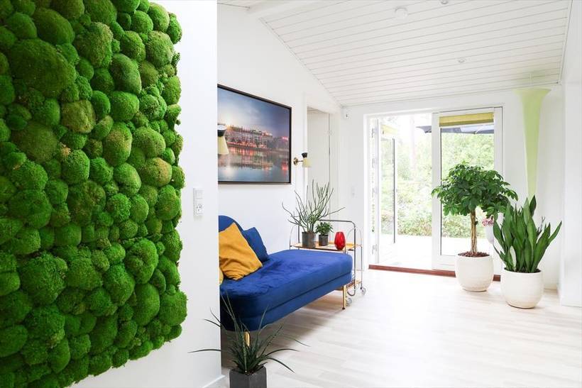 Foto von Ferienhaus LH67 in Strandsiden - Rørvig - Westseeland