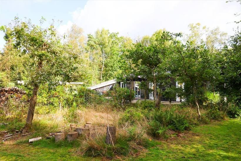Foto von Ferienhaus LH67 in Strandsiden - Rørvig - Westseeland
