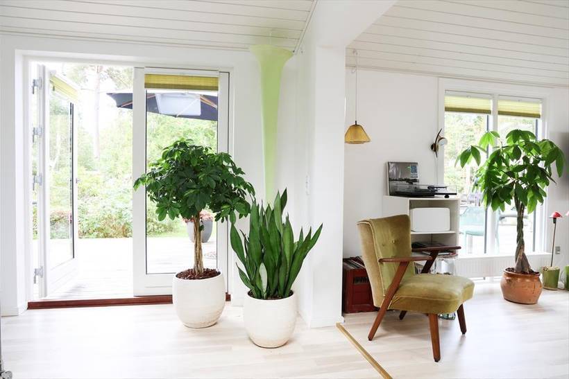 Foto von Ferienhaus LH67 in Strandsiden - Rørvig - Westseeland