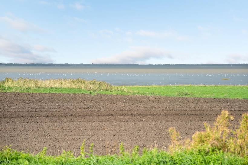 Foto von Ferienhaus LI15 in Ballum - Südjütland