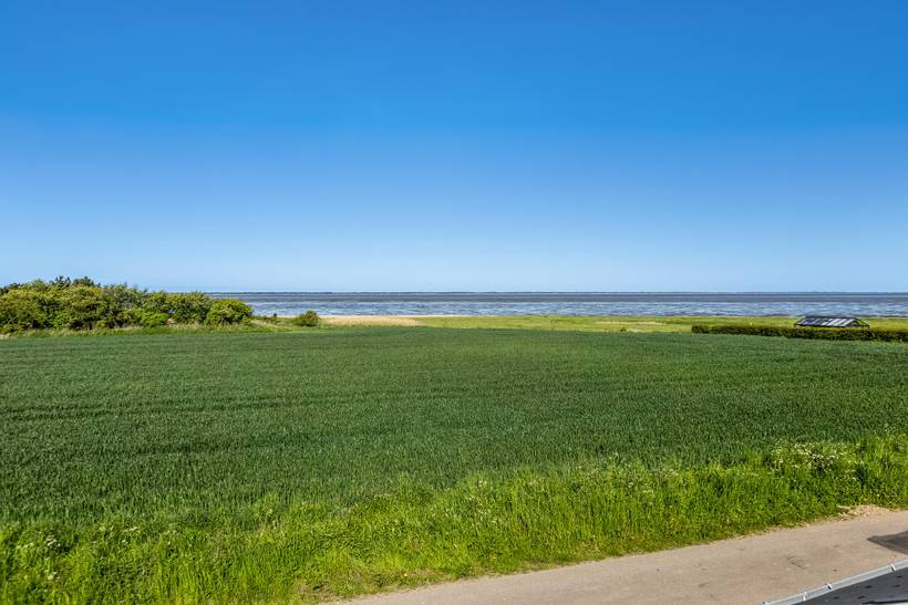 Foto von Ferienhaus LI15 in Ballum - Südjütland