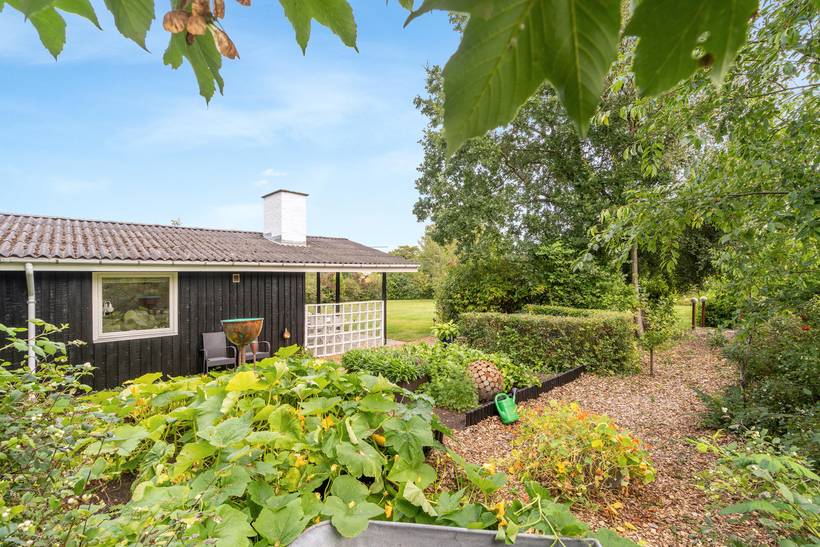 Foto von Ferienhaus LI41 in Lyby - Thy/Limfjord