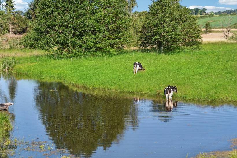 Foto von Ferienhaus LI75 in Hejlsminde - Südjütland