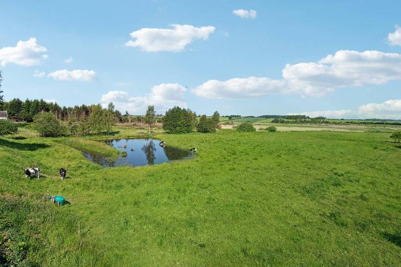 Foto von Ferienhaus LI75 in Hejlsminde - Südjütland