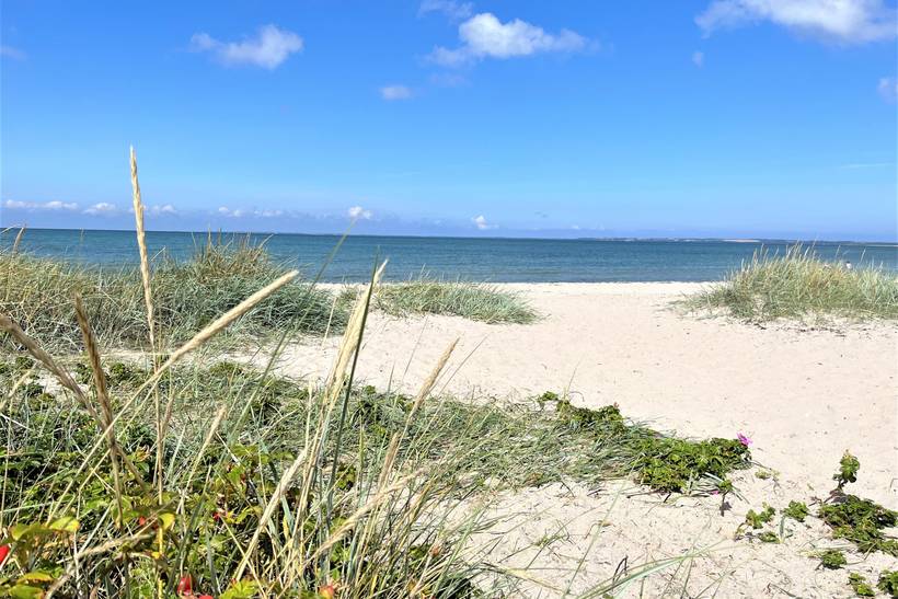 Foto von Ferienhaus LI86 in Sejerø Bugt - Westseeland