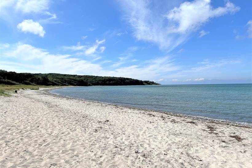 Foto von Ferienhaus LI86 in Sejerø Bugt - Westseeland