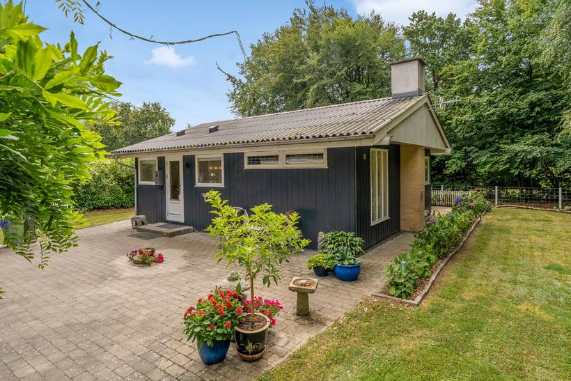 Foto von Ferienhaus LJ10 in Trend - Thy/Limfjord