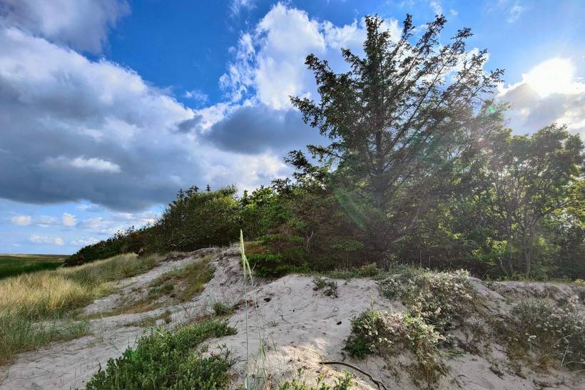Foto von Ferienhaus LJ56 in Hou - Nordjütland Ost