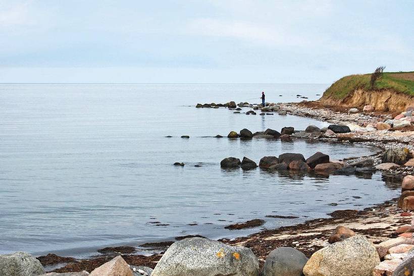 Foto von Ferienhaus LJ70 auf Karrebæksminde - Enø - Südseeland