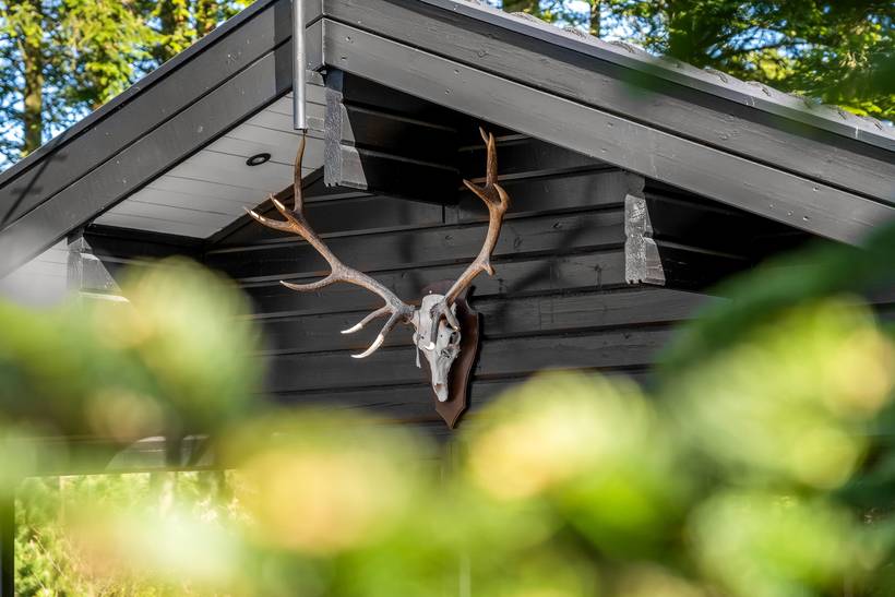 Foto von Ferienhaus LJ76 in Saltum - Blokhus - Nordjütland