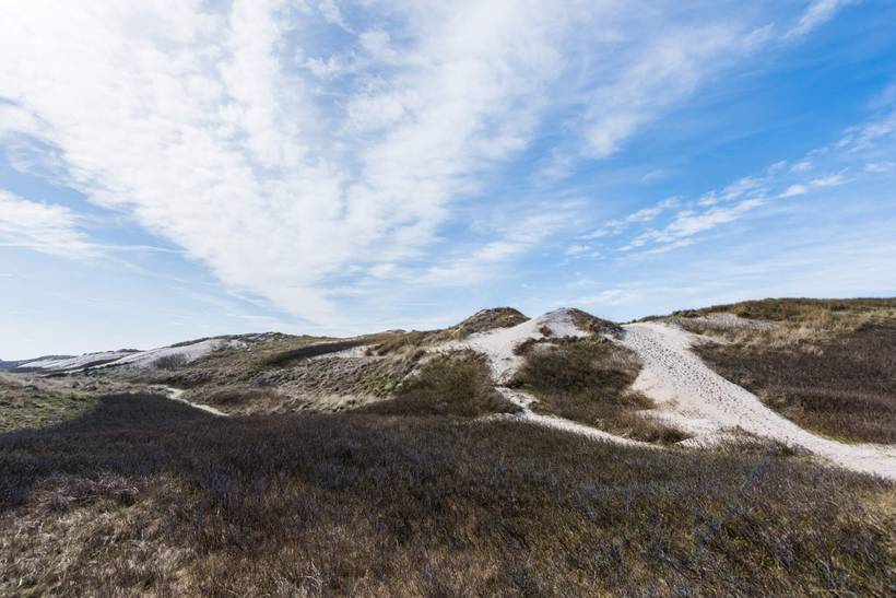 Foto von Ferienhaus LJ77 in Søndervig - Westjütland