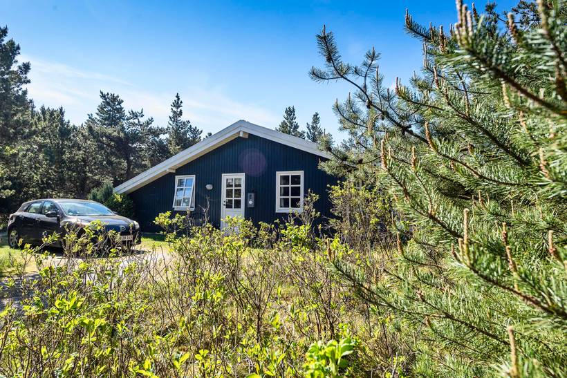 Foto von Ferienhaus LK41 in Vejers Strand - Westjütland