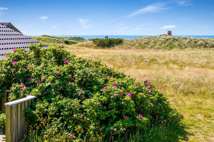Foto von Ferienhaus LL52 in Grønhøj - Løkken - Nordjütland