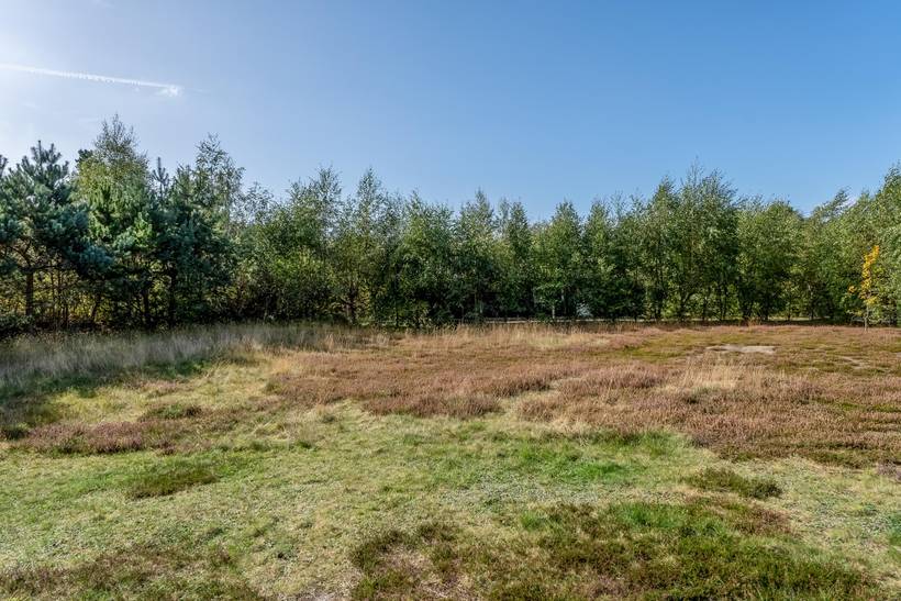 Foto von Ferienhaus LL57 in Østerby - Læsø