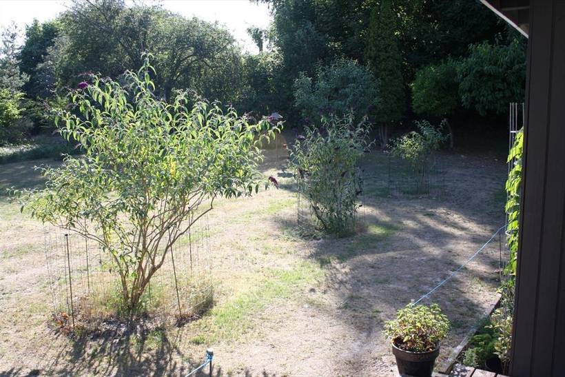 Foto von Ferienhaus LL70 in Sejerø Bugt - Westseeland