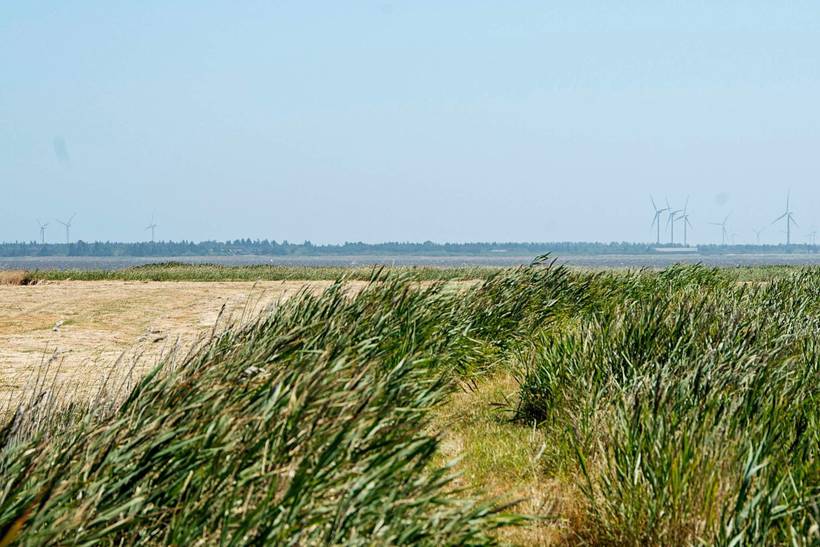 Foto von Ferienhaus LL89 in Thorsminde - Fjand - Westjütland