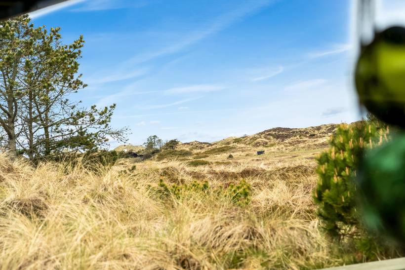 Foto von Ferienhaus LM16 in Rødhus - Blokhus - Nordjütland