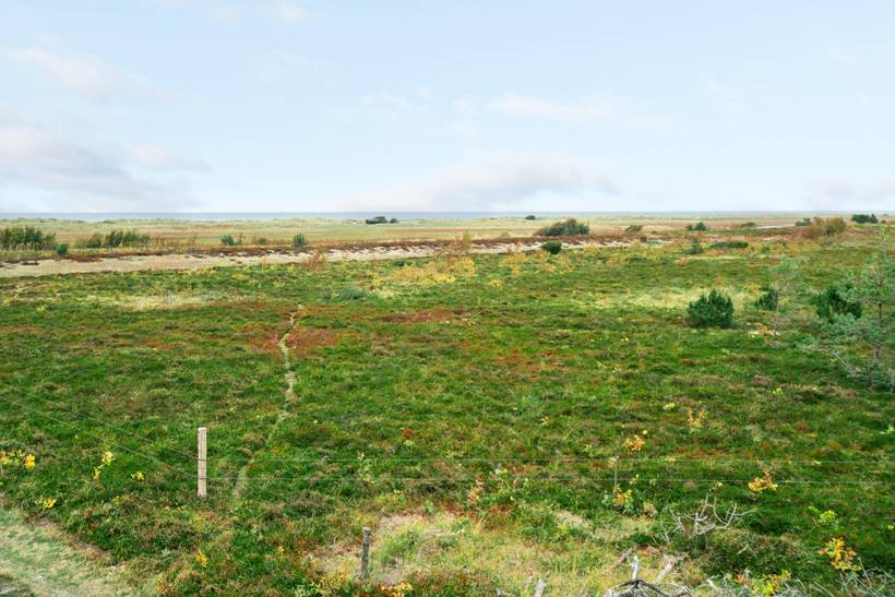 Foto von Ferienhaus LM18 in Vesterø - Læsø