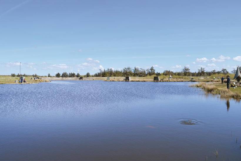 Foto von Ferienhaus LM22 in Skalstrup - Westjütland