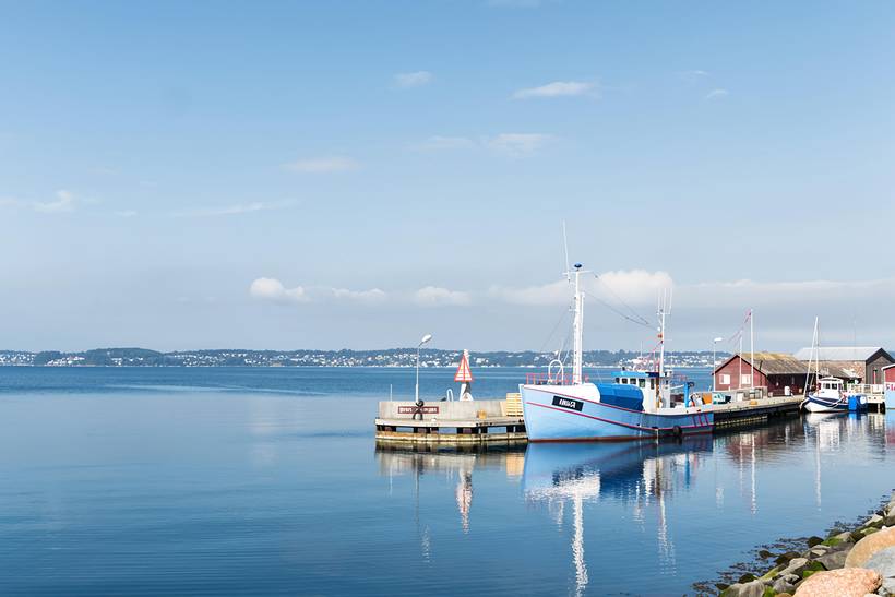Foto von Ferienhaus LM53 in Ebeltoft - Ostjütland