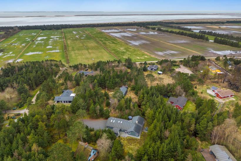 Foto von Ferienhaus LM69 in Sønderstrand - Rømø