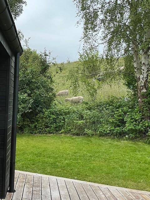 Foto von Ferienhaus LN03 in Handrup - Ebeltoft - Ostjütland