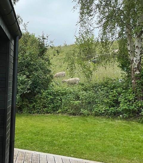 Foto von Ferienhaus LN03 in Handrup - Ebeltoft - Ostjütland