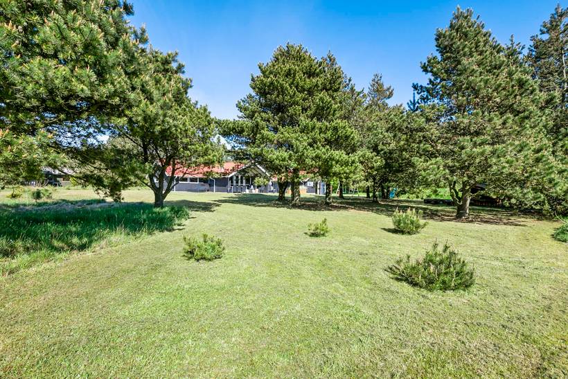 Foto von Ferienhaus LN16 in Lodbjerg Hede - Søndervig - Westjütland