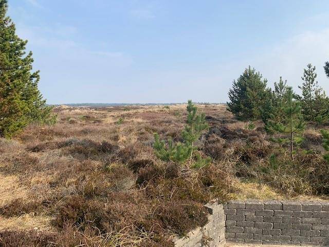 Foto von Ferienhaus LN56 in Henne Strand - Westjütland