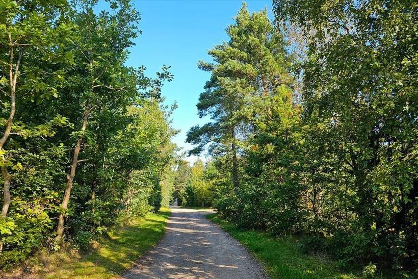 Foto von Ferienhaus LN63 in Fuglslev - Ebeltoft - Ostjütland