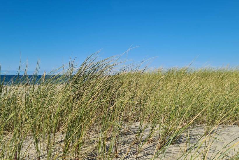 Foto von Ferienhaus LN64 in Rødhus - Blokhus - Nordjütland