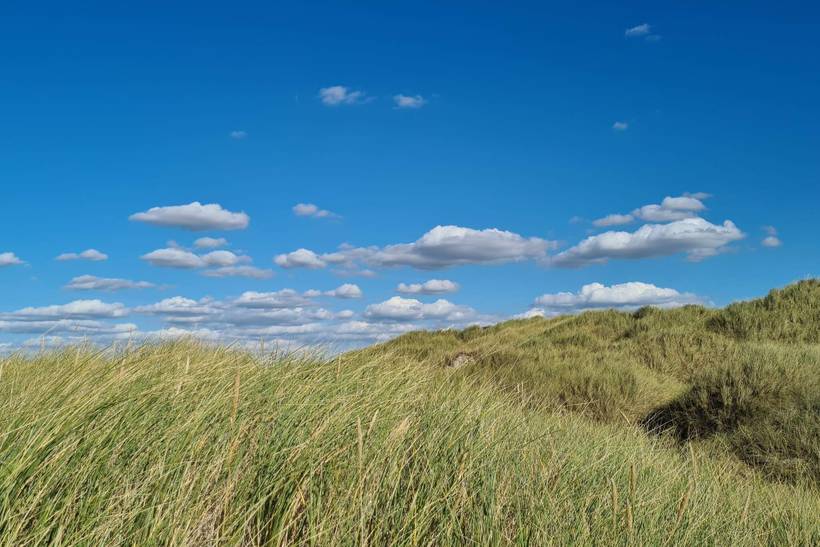Foto von Ferienhaus LN64 in Rødhus - Blokhus - Nordjütland