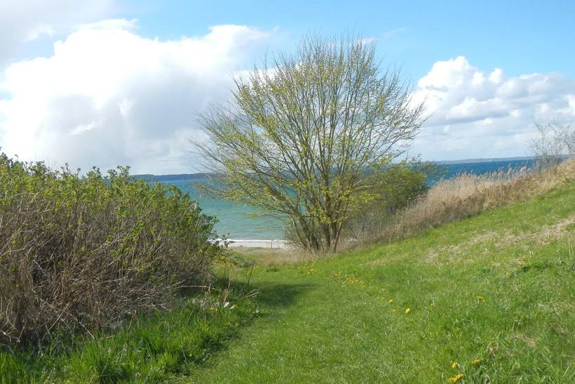 Foto von Ferienhaus LN98 in Båring Vig - Nordfünen