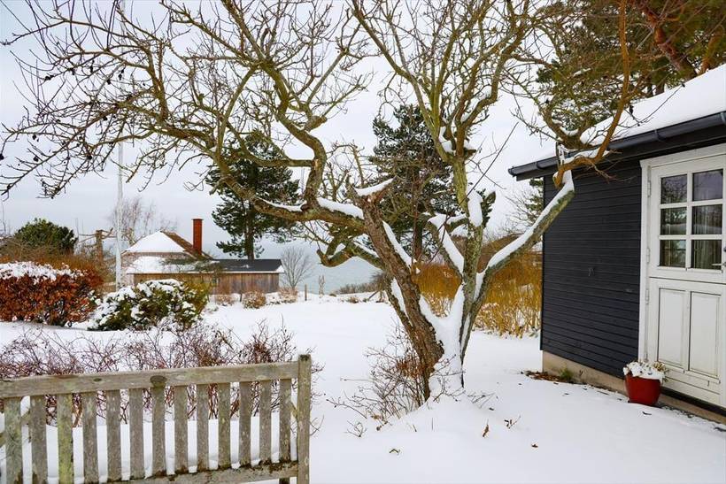 Foto von Ferienhaus LO66 auf Overby Lyng - Westseeland