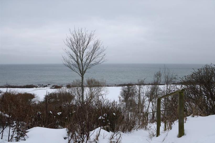 Foto von Ferienhaus LO66 auf Overby Lyng - Westseeland