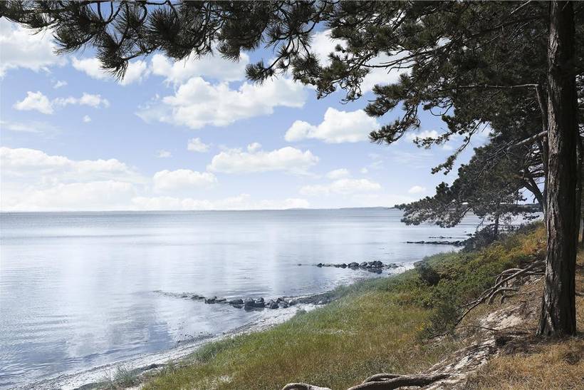 Foto von Ferienhaus LO98 in Strandsiden - Rørvig - Westseeland