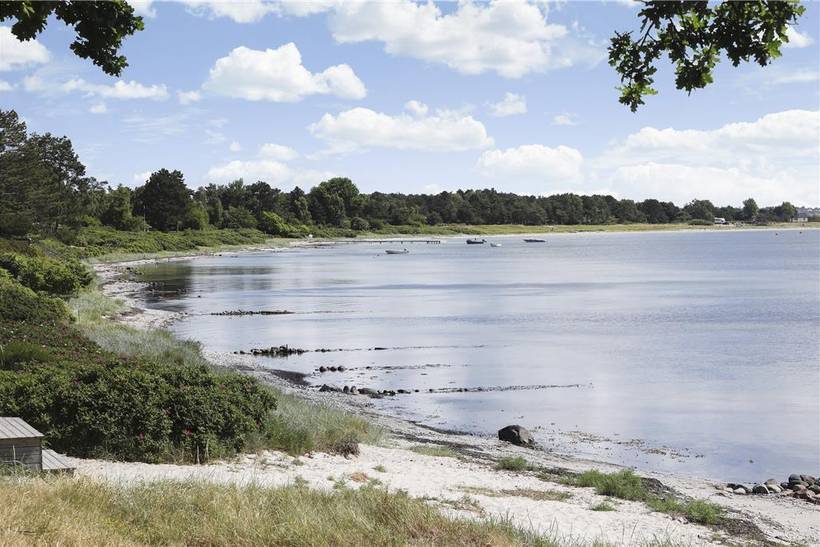 Foto von Ferienhaus LO98 in Strandsiden - Rørvig - Westseeland