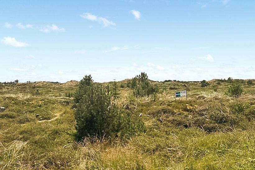 Foto von Ferienhaus LP01 in Vorupør - Thy/Limfjord