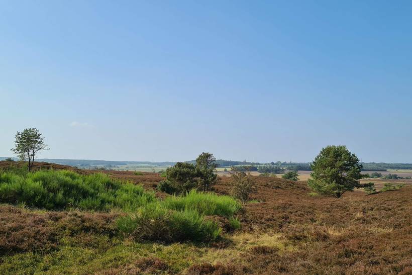 Foto von Ferienhaus LP02 in Gatten - Thy/Limfjord