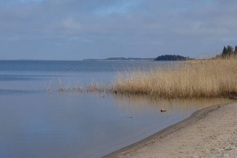 Foto von Ferienhaus LP20 in Bork Havn - Westjütland
