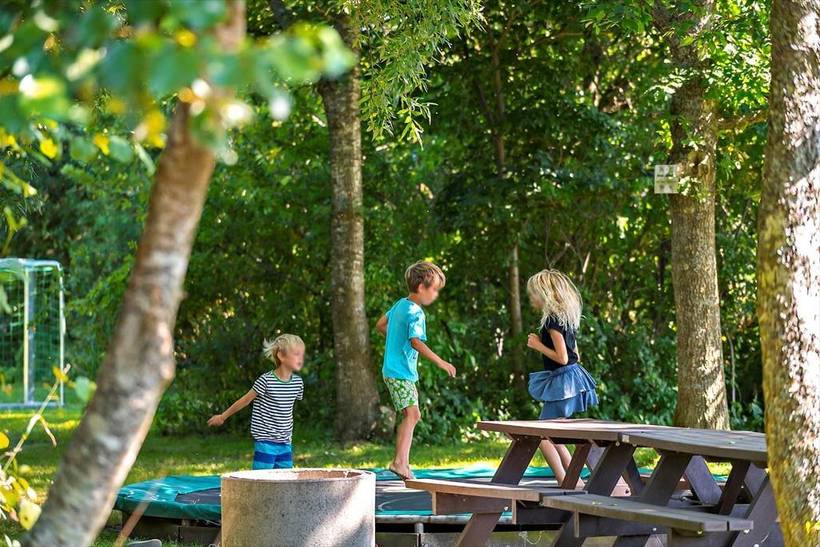 Foto von Ferienhaus LP31 in Bork Havn - Westjütland